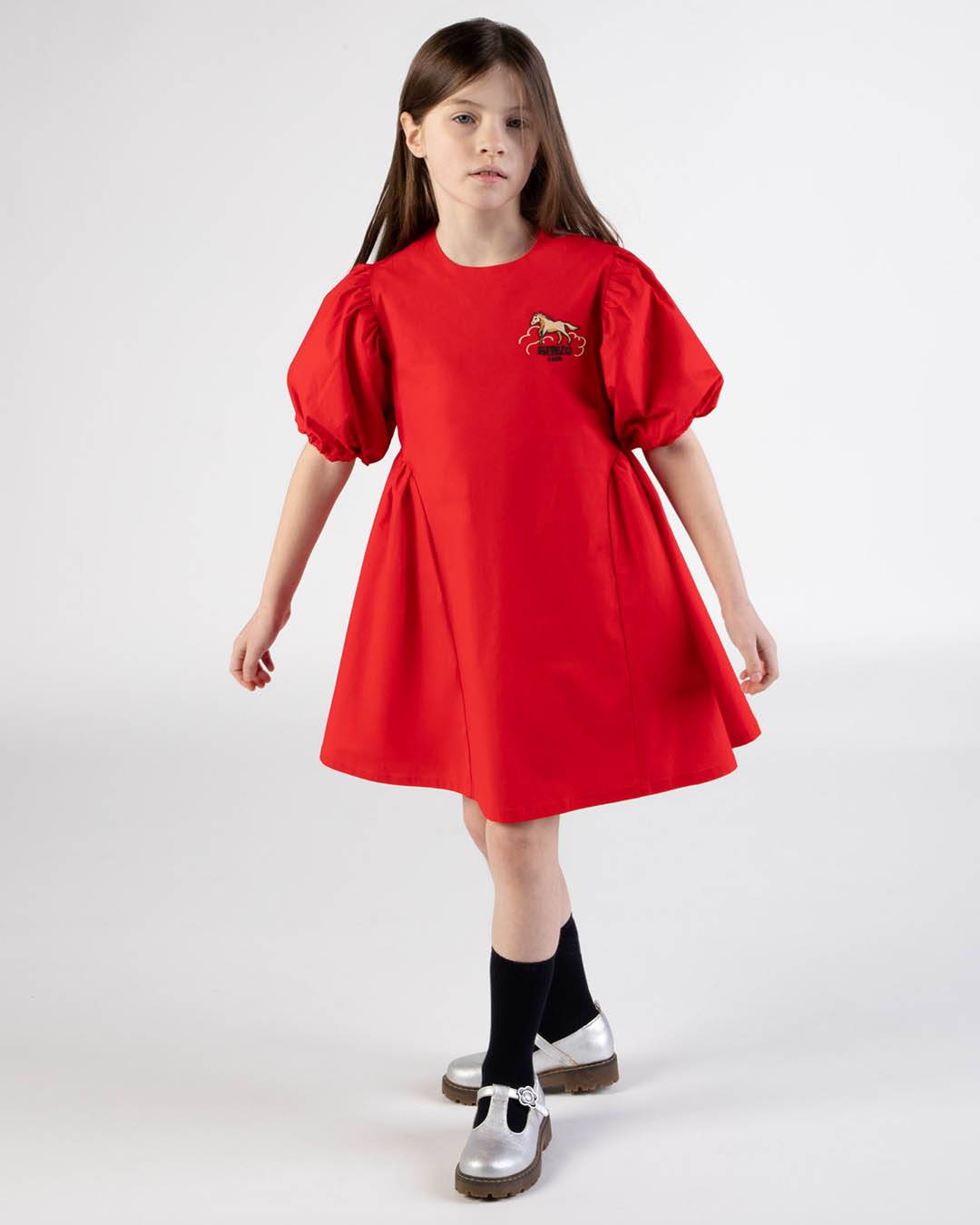 'Lunar New Year' embroidered dress in poplin